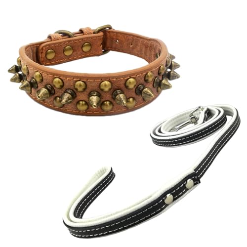 Newtensina Schwarzes Nietenhalsband und Leine mit Retro-Nieten für kleine Hunde mittlere Hunde große Hunde (0068) von Newtensina