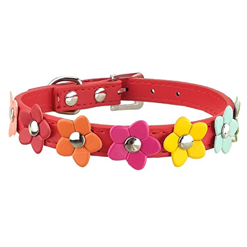 Newtensina Stilvolle Hundehalsband niedlichen Hundehalsband Mädchen Blume Welpen Halsbänder für kleine Hunde mit Blume von Newtensina