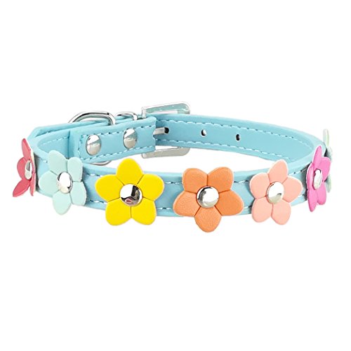 Newtensina Stilvolle Hundehalsband niedlichen Hundehalsband Mädchen Blume Welpen Halsbänder für kleine Hunde mit Blume Newtensina Stilvolle Hundehalsband niedlichen Hundehalsband Mädchen Blume Welpen Halsbänder für kleine Hunde mit Blume von Newtensina
