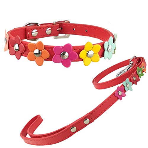 Newtensina Stilvolle Hundehalsband und Leine Set Hundehalsband Mädchen Blume Welpen Halsbänder Leinen für kleine Hunde mit Blume von Newtensina