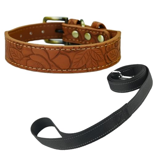 Newtensina Vintage Hundehalsband und Leine Geprägte Blume Haustierhalsband mit Leine für kleine Hunde mittlere Hunde (0092) von Newtensina
