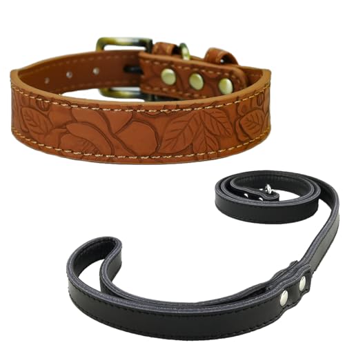 Newtensina Vintage Hundehalsband und Leine Geprägte Blume Haustierhalsband mit Leine für kleine Hunde mittlere Hunde (0093) von Newtensina
