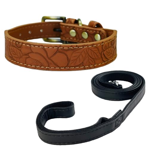 Newtensina Vintage Hundehalsband und Leine Geprägte Blume Haustierhalsband mit Leine für kleine Hunde mittlere Hunde (0097) von Newtensina