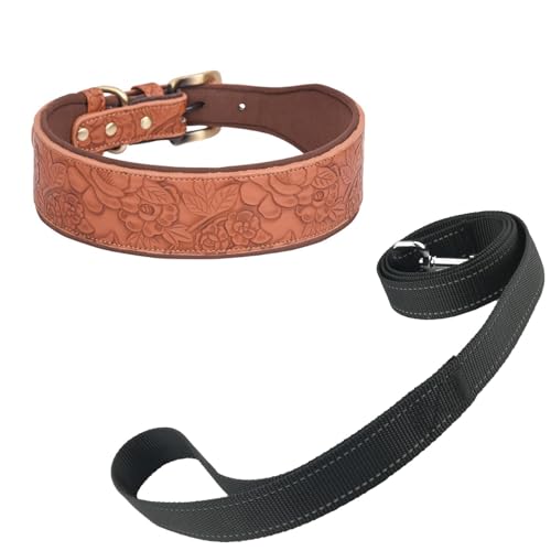 Newtensina Vintage Hundehalsband und Leine Geprägte Blume Haustierhalsband mit Sapce Baumwolle gepolstert für kleine Hunde mittlere Hunde (0099) von Newtensina