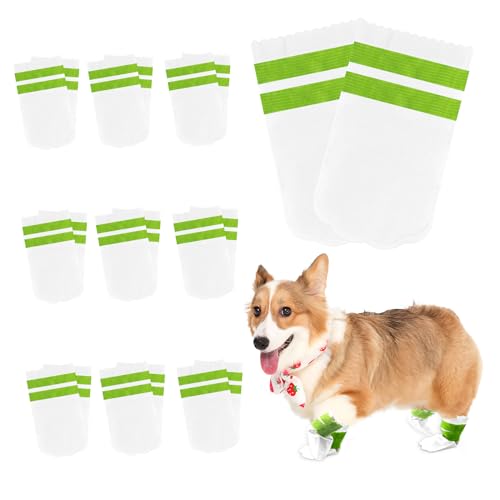 Einweg-Hundeschuhe für verletzte Pfoten, 20 Stück, Einweg-Hundestiefel, Pfotenschutz, selbstklebende Einweg-Hundesocken, Pfoten stoppen Lecken für kleine Hunde (wasserdichter Stil, M) von Newthinking