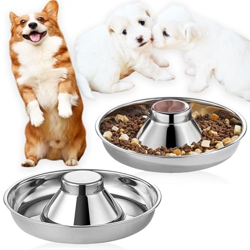Nexboraque 2 Stück Edelstahl-Welpennäpfe – 25,4 cm Welpen-Futterspender Langsame Futternäpfe für mehrere Welpen – Futter- und Wassernapf für kleine Hunde, Katzen Nexboraque 2 Stück Edelstahl-Welpennäpfe – 25,4 cm Welpen-Futterspender Langsame Futternäpfe für mehrere Welpen – Futter- und Wassernapf für kleine Hunde, Katzen von Nexboraque