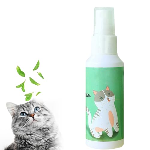 Nexolla Katzenminze Spray für Kratzbaum, Catnip Spray, Kräuterspray für Katzen, Katzen Minze, Macht Langweiliges Katzenspielzeug interessant für die Selbstbeschäftigung von Katzen von Nexolla