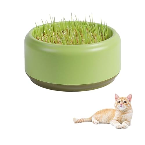 Nexoria Katzengras Pflanzkasten, Katzengras Hydrokultur Pflanzgefäß Kunststoff Katzengras Samen Sprouter Bodenfrei Katzenpflanze Pflanzkasten Katzenpflanze für Innen- oder(ohne Unkraut) (Grün) Nexoria Katzengras Pflanzkasten, Katzengras Hydrokultur Pflanzgefäß Kunststoff Katzengras Samen Sprouter Bodenfrei Katzenpflanze Pflanzkasten Katzenpflanze für Innen- oder(ohne Unkraut) (Grün) von Nexoria