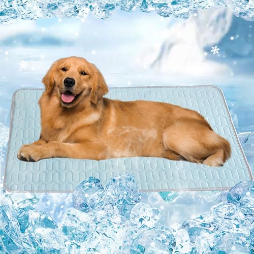 Nexoria Kühlmatte für Hunde, 70x100cm Selbstkühlende Kühlmatte Hund Kühldecke Katzen rutschfest Katzen Kühlmatte Hundekühlmatte Selbstkühlend Waschbar Kühlkissen für Haustiere (Blau) von Nexoria