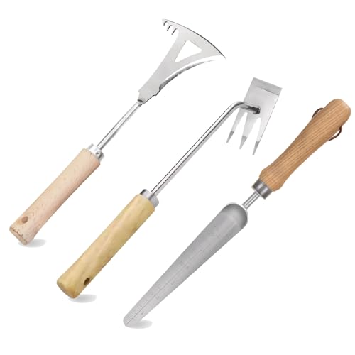 Nexoria Unkraut Entferner Gerät, Unkrautstecher mit Stiel Unkrautjäter Edelstahl Löwenzahnstecher Fugenkratzer mit Stiel Unkrautmesser Gartenwerkzeug Unkrautentferner für Garten (D) von Nexoria