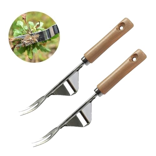 Unkrautstecher, Handjätgerät Für Den Garten Edelstahl Manueller Unkrautstecher Fugenkratzer Unkraut Wurzeljäter Mit Holzgriff Unkraut Entferner Gerät Manueller Weeder Zum Graben Jäten Lösen (2pcs) von Nexoria