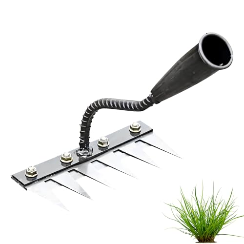 Unkrautstecher Edelstahl, Unkrautrechen Unkraut Entferner Gerät Eisen Unkrautausstecher Gartenarbeit Hand Unkrautsteche Gartenwerkzeug Fugenkratzer mit Stiel Löwenzahnstecher für Garten (6-Zahn) von Nexoria