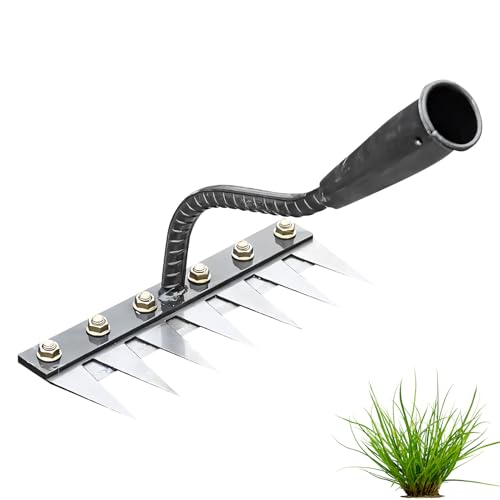 Unkrautstecher Edelstahl, Unkrautrechen Unkraut Entferner Gerät Eisen Unkrautausstecher Gartenarbeit Hand Unkrautsteche Gartenwerkzeug Fugenkratzer mit Stiel Löwenzahnstecher für Garten (7-Zahn) von Nexoria