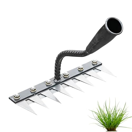 Unkrautstecher Edelstahl, Unkrautrechen Unkraut Entferner Gerät Eisen Unkrautausstecher Gartenarbeit Hand Unkrautsteche Gartenwerkzeug Fugenkratzer mit Stiel Löwenzahnstecher für Garten (8-Zahn) von Nexoria