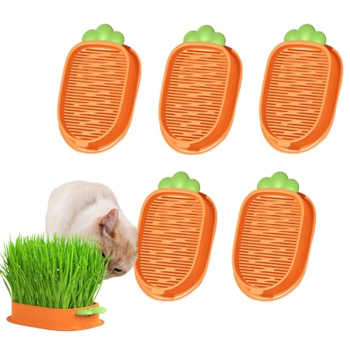 Katzengras-Pflanzgefäß-Set – 5 Stück, erdfreie Katzengras-Anzuchtschalen mit Sprühflasche, Indoor-Katzengras-Samen, Pflanzkasten für Katzenminze und Haustiergras Katzengras-Pflanzgefäß-Set – 5 Stück, erdfreie Katzengras-Anzuchtschalen mit Sprühflasche, Indoor-Katzengras-Samen, Pflanzkasten für Katzenminze und Haustiergras von NexusGlow