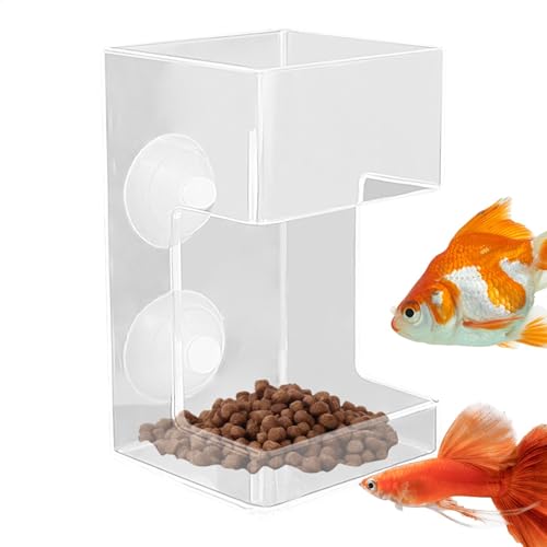 Ferienfischfuttermittel - Fütterung, Zeitgesteuerte Fischfuttermittel | Programmierbarer Fischfutter, Fischfutter Für Teiche, Klare Nahrungsmittelhalter - -Fütterungsmittel, Verhindern Von Leb Ferienfischfuttermittel - Fütterung, Zeitgesteuerte Fischfuttermittel | Programmierbarer Fischfutter, Fischfutter Für Teiche, Klare Nahrungsmittelhalter - -Fütterungsmittel, Verhindern Von Leb von Nexusectar