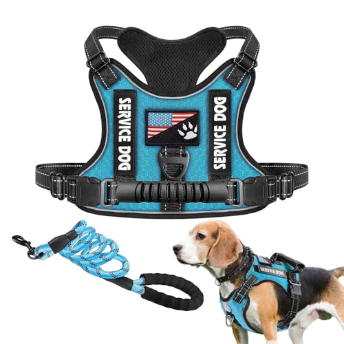 Hundeweste mit Hundegeschirr, reflektierende Weste für Hunde | reflektierende Weste für Hunde | Hundegeschirr, strapazierfähige und weiche Weste für Hunde von Nexusectar