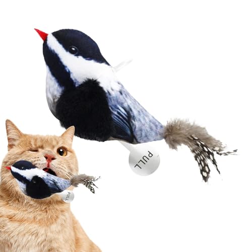 Katzenspielzeug, Spielzeug für Vögel, Spielzeug für Katzen, interaktives Spielzeug mit Federn, Quietscher für Vögel, Spielzeug für Kätzchen, interaktives Spielzeug für Katzen, Kaninchen, Hunde Katzenspielzeug, Spielzeug für Vögel, Spielzeug für Katzen, interaktives Spielzeug mit Federn, Quietscher für Vögel, Spielzeug für Kätzchen, interaktives Spielzeug für Katzen, Kaninchen, Hunde von Nexusectar