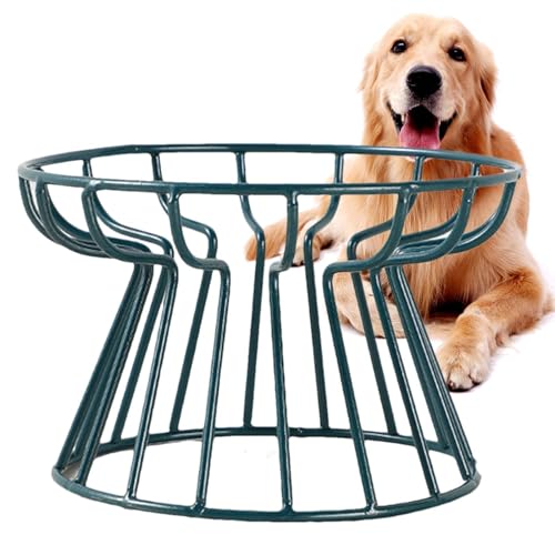 Keramik erhöhte Chat -Lebensmittelschalen für Keramik -Schnurrbärte mit metallischer Unterstützung | Geteilte Katzenschalen mit Nicht -Slip- und Anti -Rust -Metallunterstützung für Katzen von Nexusectar