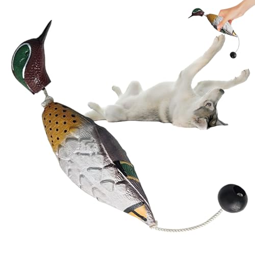 Nexusectar Enten Trainingsspielzeug Für Hunde | Enten-Wildvogel Jagdspielzeug Apportierdummy | Realistische Schwimmende Geflügelattrappen Für Apportiertraining An Seen In Gärten Und von Nexusectar