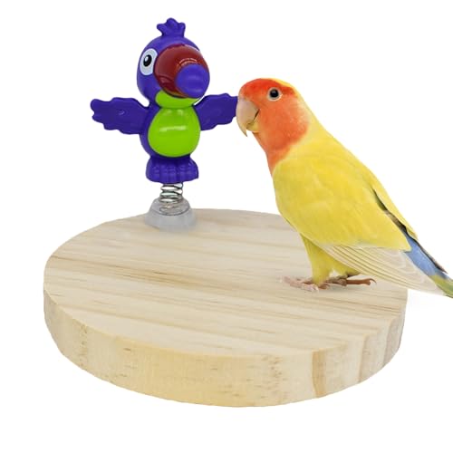 Nexusectar Papageiengarderobe - Vogelkäfigzubehör - Naturholzspielzeug mit stimulierendem Spielbereich für Cotorras, Aras und Tauben im Freien von Nexusectar