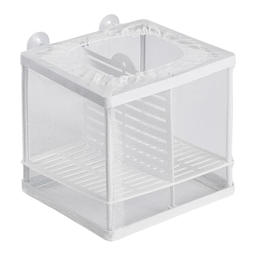 Fischzuchtbox, kleine Frittierbrut-Isolationsbox, Isolationsbox, Fischbrutstätte mit 4 Saugnäpfen, multifunktionale Tank-Trennwand für Betta, tropische Fische, Guppy von Nhemeylp
