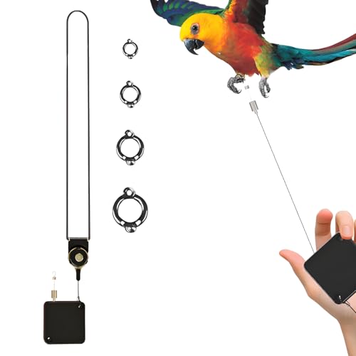 Nhujevkom Bird Fuß Seil | Metall Kette mit automatischem Einzug für Flugtraining von,Kaugeeignetes Verstellbares Vogel Sprunggelenk Zubehör Für Sittiche Nymphensittiche Wellensittiche Finken Nhujevkom Bird Fuß Seil | Metall Kette mit automatischem Einzug für Flugtraining von,Kaugeeignetes Verstellbares Vogel Sprunggelenk Zubehör Für Sittiche Nymphensittiche Wellensittiche Finken von Nhujevkom
