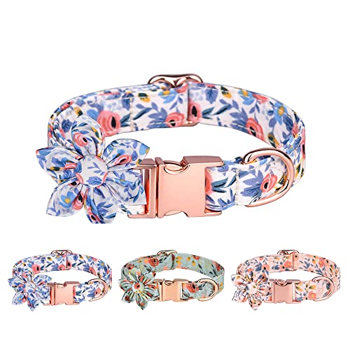 Hundehalsband aus Baumwolle mit Fliege, Hundehalsband Fliege, Blau Hundehalsband Schleife für kleine mittelgroße große Hunde oder Katzen Hundehalsband aus Baumwolle mit Fliege, Hundehalsband Fliege, Blau Hundehalsband Schleife für kleine mittelgroße große Hunde oder Katzen von NiCoLa