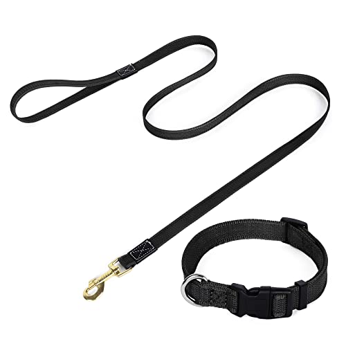 Hundehalsband und Leine, Set für kleine Hunde, Leine und Halsband, Set mit Hundeleine und Halsband, 1,5 m für kleine, mittelgroße und große Hunde Hundehalsband und Leine, Set für kleine Hunde, Leine und Halsband, Set mit Hundeleine und Halsband, 1,5 m für kleine, mittelgroße und große Hunde von NiCoLa