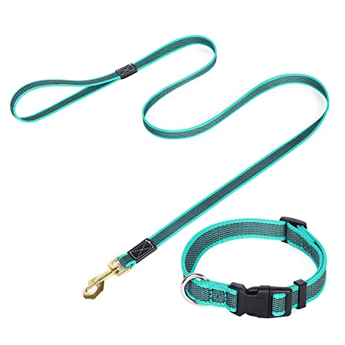 Hundehalsband und Leine, Set für kleine Hunde, Leine und Halsband, Set mit Hundeleine und Halsband, 1,5 m für kleine, mittelgroße und große Hunde Hundehalsband und Leine, Set für kleine Hunde, Leine und Halsband, Set mit Hundeleine und Halsband, 1,5 m für kleine, mittelgroße und große Hunde von NiCoLa