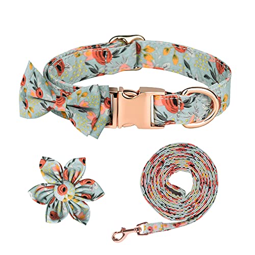 Set mit Fliege und Leine, Hundeleine und Halsband, verstellbares Hundehalsband und Leine, Set für kleine, mittelgroße und große Hunde Set mit Fliege und Leine, Hundeleine und Halsband, verstellbares Hundehalsband und Leine, Set für kleine, mittelgroße und große Hunde von NiCoLa