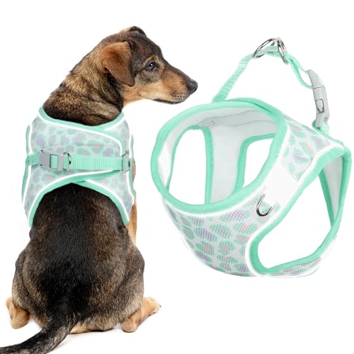 NiCoLa Hundegeschirr und Leine Set, Reflektierend Atmungsaktiv Hundegeschirr mit Verstellbaren Sicherheitsschnallen D-Ring für Kleine Hunde Gassigehen Laufen (L, Minze) von NiCoLa