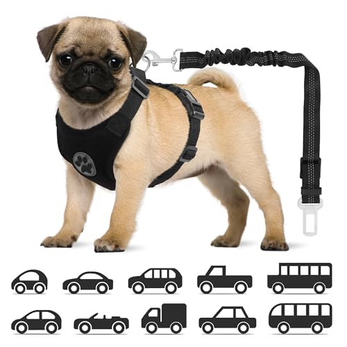 NiCola Hundegeschirr im Auto mit Sicherheitsgurten, schwarzes Hundegeschirr für Reisen, tägliches Pendeln, 2 Stück, verstellbares Hundegeschirr mit Auto-Sicherheitsgurt für Reisen, tägliches Pendeln NiCola Hundegeschirr im Auto mit Sicherheitsgurten, schwarzes Hundegeschirr für Reisen, tägliches Pendeln, 2 Stück, verstellbares Hundegeschirr mit Auto-Sicherheitsgurt für Reisen, tägliches Pendeln von NiCola
