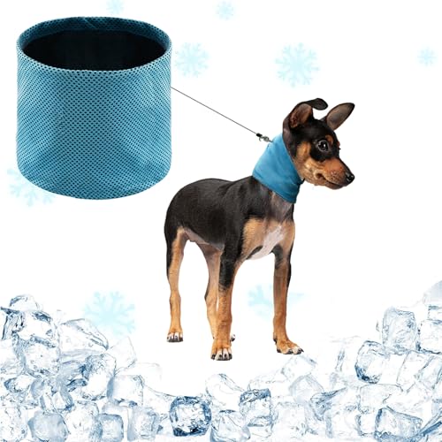 NiCola Kühlendes Bandana für Hunde, Blau Kühlendes Bandana für Hunde, Hundehalsband für Hunde, Welpen, Katzen, Sommer (Blau, S) von NiCola