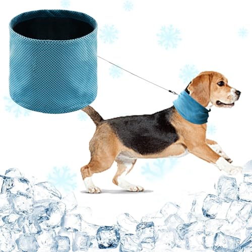 NiCola Kühlendes Hundehalstuch, blaues kühlendes Bandana für Hunde, Hundehalsband für Hunde, Welpen, Katzen, Sommer (Blau, M) von NiCola