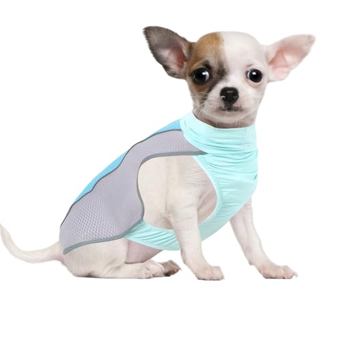 NiCola Kühlweste für Hunde, rosa, atmungsaktiv, kühlende Mäntel, leichte Sommer-Hundeweste mit reflektierendem Streifen für kleine bis große Hunde (Blau, M) von NiCola