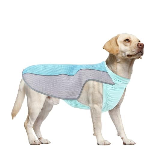 NiCola Kühlweste für Hunde, rosa, atmungsaktiv, kühlende Mäntel, leichte Sommer-Hundeweste mit reflektierendem Streifen für kleine bis große Hunde (Blau, XL) von NiCola