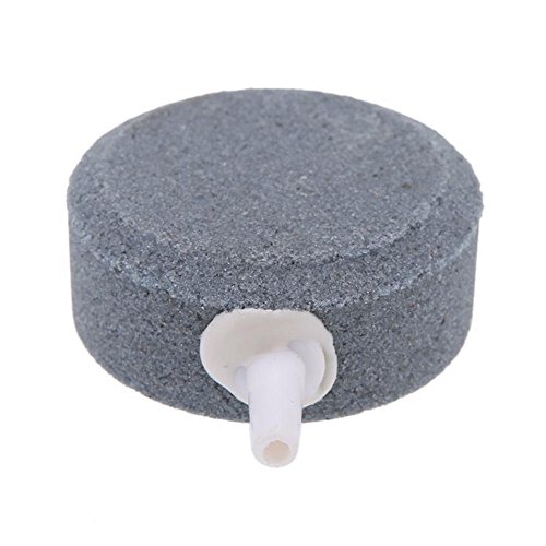 Nicfaky Steinbelüfter für Aquarium, Teichpumpe, Sauerstoffscheibe, 8 cm Nicfaky Steinbelüfter für Aquarium, Teichpumpe, Sauerstoffscheibe, 8 cm von Nicfaky