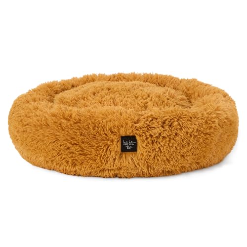 Nicole Miller New York PET Ellie Fuzzy Solid Donut Haustierbett, Plüsch, gemütlich und beruhigend, rutschfeste Unterseite, 100% maschinenwaschbar, Gold, Größe S, 61 x 61 x 17,8 cm, rund Nicole Miller New York PET Ellie Fuzzy Solid Donut Haustierbett, Plüsch, gemütlich und beruhigend, rutschfeste Unterseite, 100% maschinenwaschbar, Gold, Größe S, 61 x 61 x 17,8 cm, rund von Nicole Miller New York