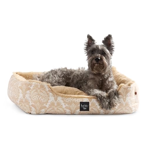 Nicole Miller New York PET Mod Haustierbett, Damast-Plüsch, gemütlich und beruhigend, wasserabweisend, rutschfeste Unterseite, maschinenwaschbarer Bezug, Taupe, Größe M, 76,2 x 58,4 x 20,3 cm Nicole Miller New York PET Mod Haustierbett, Damast-Plüsch, gemütlich und beruhigend, wasserabweisend, rutschfeste Unterseite, maschinenwaschbarer Bezug, Taupe, Größe M, 76,2 x 58,4 x 20,3 cm von Nicole Miller New York
