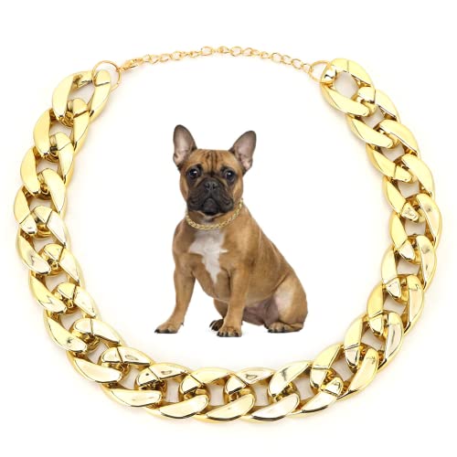 Nicoone Gold Ketten Halsband Hund, ABS Kunststoff Hunde Gold Halsband Kette Welpen Kostüm,Hund Kragen Goldenen Haustier Hund für Kleine Und Mittlere Hund von Nicoone