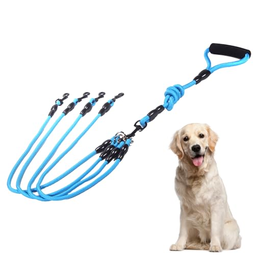 3-in-1-Hundeleinen,3-teilige Hundeleine mit verstellbare stoßdämpfende Bungee-reflektierende Leine für Hunde klein mittlere und große Lauftraining 3-in-1-Hundeleinen,3-teilige Hundeleine mit verstellbare stoßdämpfende Bungee-reflektierende Leine für Hunde klein mittlere und große Lauftraining von Nicoone
