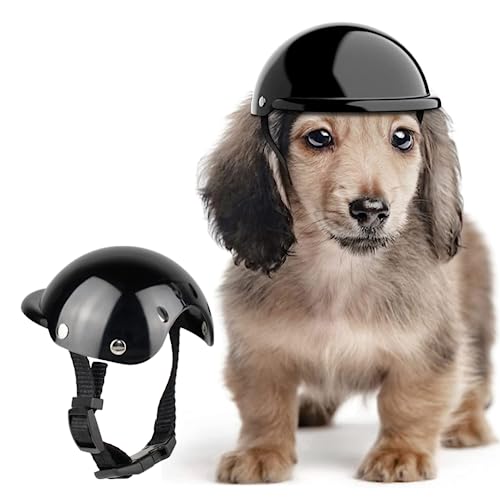 Nicoone Haustier Hund Helm Lustige Kühle Pet Motorrad Helm Einstellbare Radfahren Hund Helme für Katzen Kleine Mittelgroße Hunde M von Nicoone