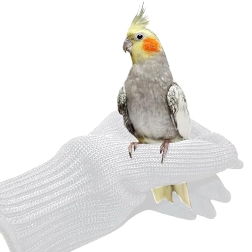 Nicoone 1 Paar Anti-Biss-Handschuhe für Papageien, Vogeltraining Kleintiere Die mit Drahthandschuhen Umgehen Und Schützende Stahldrahthandschuhe Kauen von Nicoone