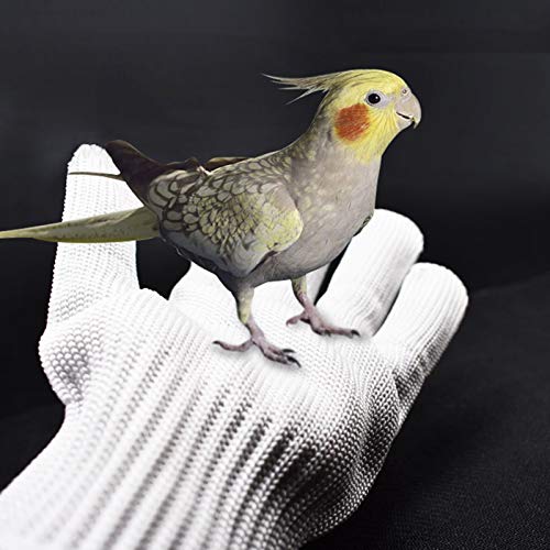 Nicoone Vogel Ausbildung Anti-Biss Handschuhe Kleine Tiere Handhabung Handschuhe Kauen Schutzhülle Stahldraht Handschuhe (Weiß) von Nicoone