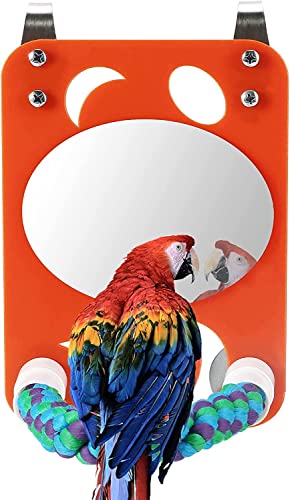 Nicoone Vogel Spielzeug Acryl Vogel Spiegel Spielzeug mit Seil Barsch Papageien Vogel Barsch Stehen für Sittich Nymphensittiche Lovebirds Oval Spiegel von Nicoone