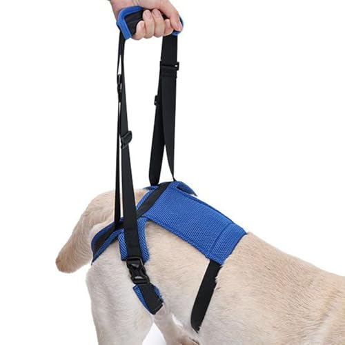 Niesel Hundegeschirr zum Heben, Hundeschlinge für kleine Haustiere, Beinstütze, verstellbar, für ältere Menschen mit Behinderungen, Hüftheben, Spaziergänge, zum Stehen, Gehen oder zur Toilette gehen von Niesel