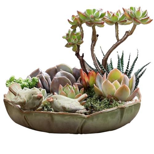 Niesel Keramikvogel Badschale, Vogelbad Keramik, Vogelfutterbehälter, 10 -Zoll -Hummiingbird -Wasserbehälter für Gartendeck, dekorative Sittichezierer von Niesel