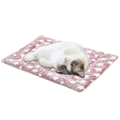Niesel Warmes Katzenschlafbett, warmes Hundebett, Wärmendes Haustierbett, Selbstheizendes Katzenbett, warme Haustiermatte für Kätzchen, kleine Welpen, Haustierkissen für den Winter Niesel Warmes Katzenschlafbett, warmes Hundebett, Wärmendes Haustierbett, Selbstheizendes Katzenbett, warme Haustiermatte für Kätzchen, kleine Welpen, Haustierkissen für den Winter von Niesel