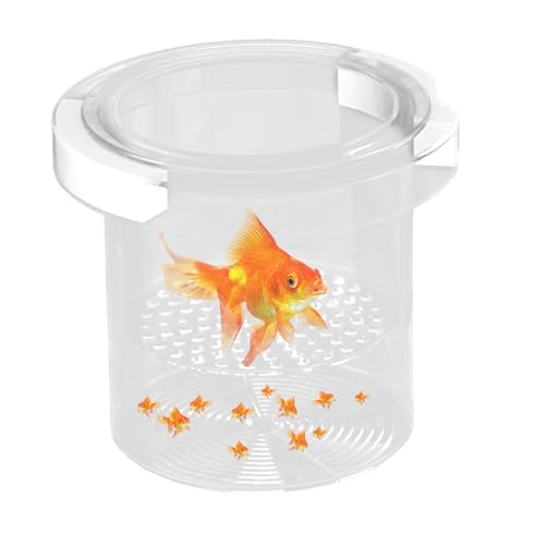 Niesel Zuchtbox Für Aquarium | Netzabtrennung Für Aquarienbrut,Aufzuchtabteilung Behälter Bruterei Inkubator Für Kampffisch Guppy Skalar Futterei Ei Akklimatisierung von Niesel